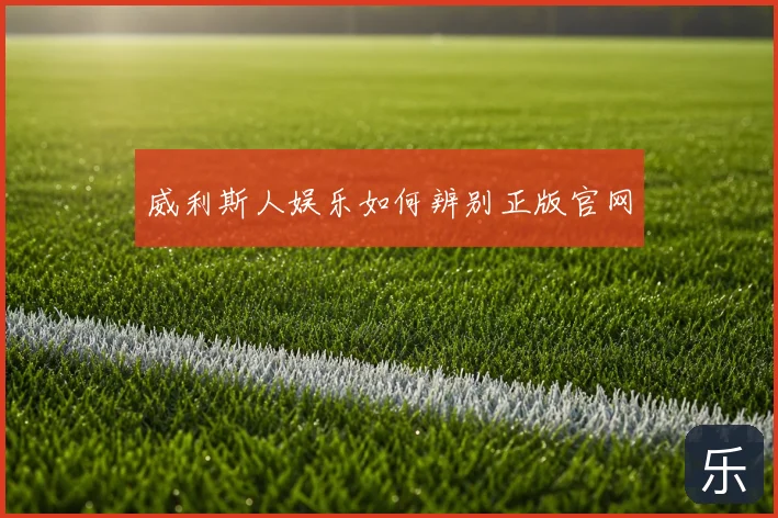 威利斯人娱乐如何辨别正版官网